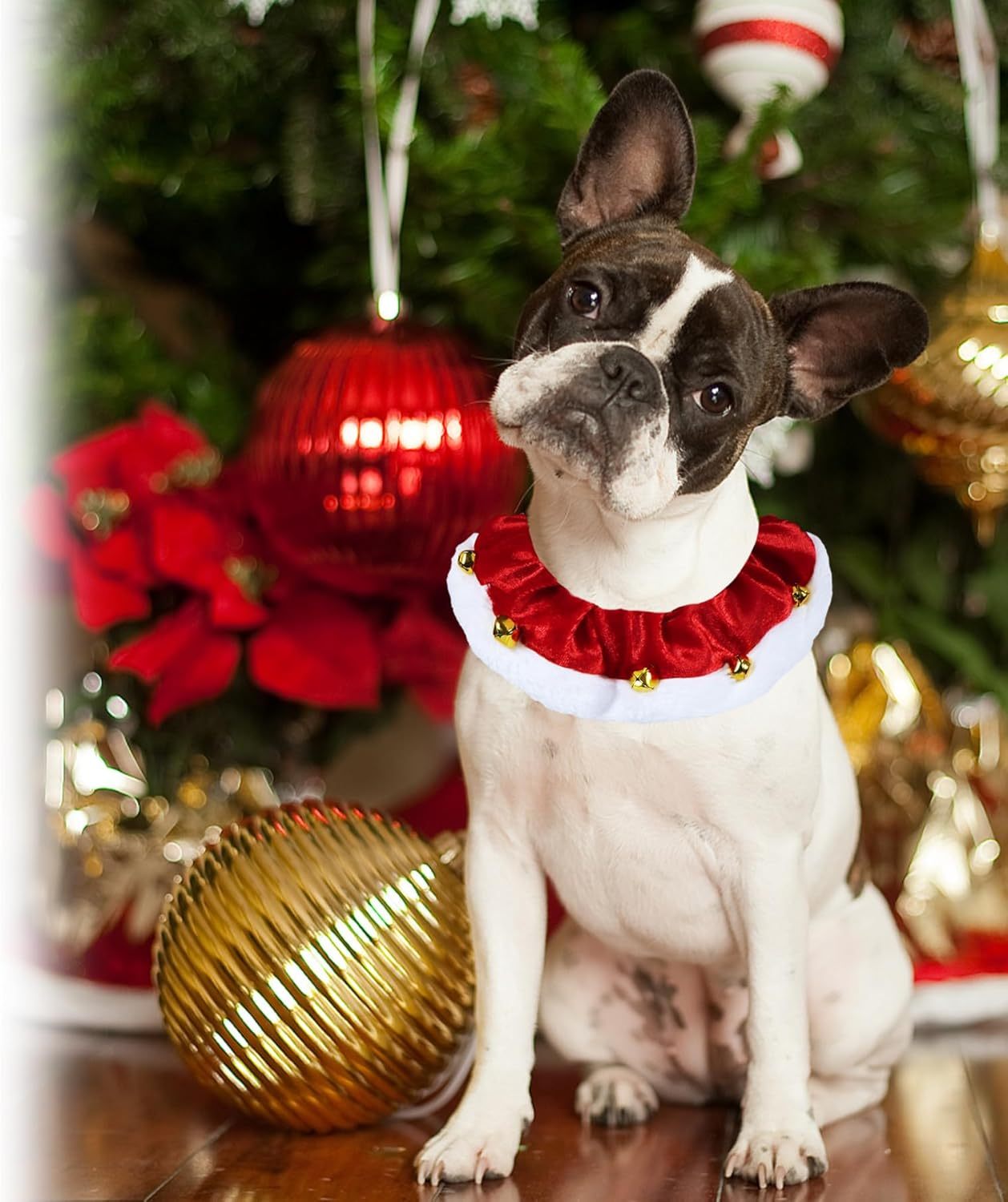 Dog Christmas Outfit Christmas Dog Collar With Bells Ornaments Holiday Christmas Dog Neckwear Costume Clothes For Small Medium Large Dogs Pets