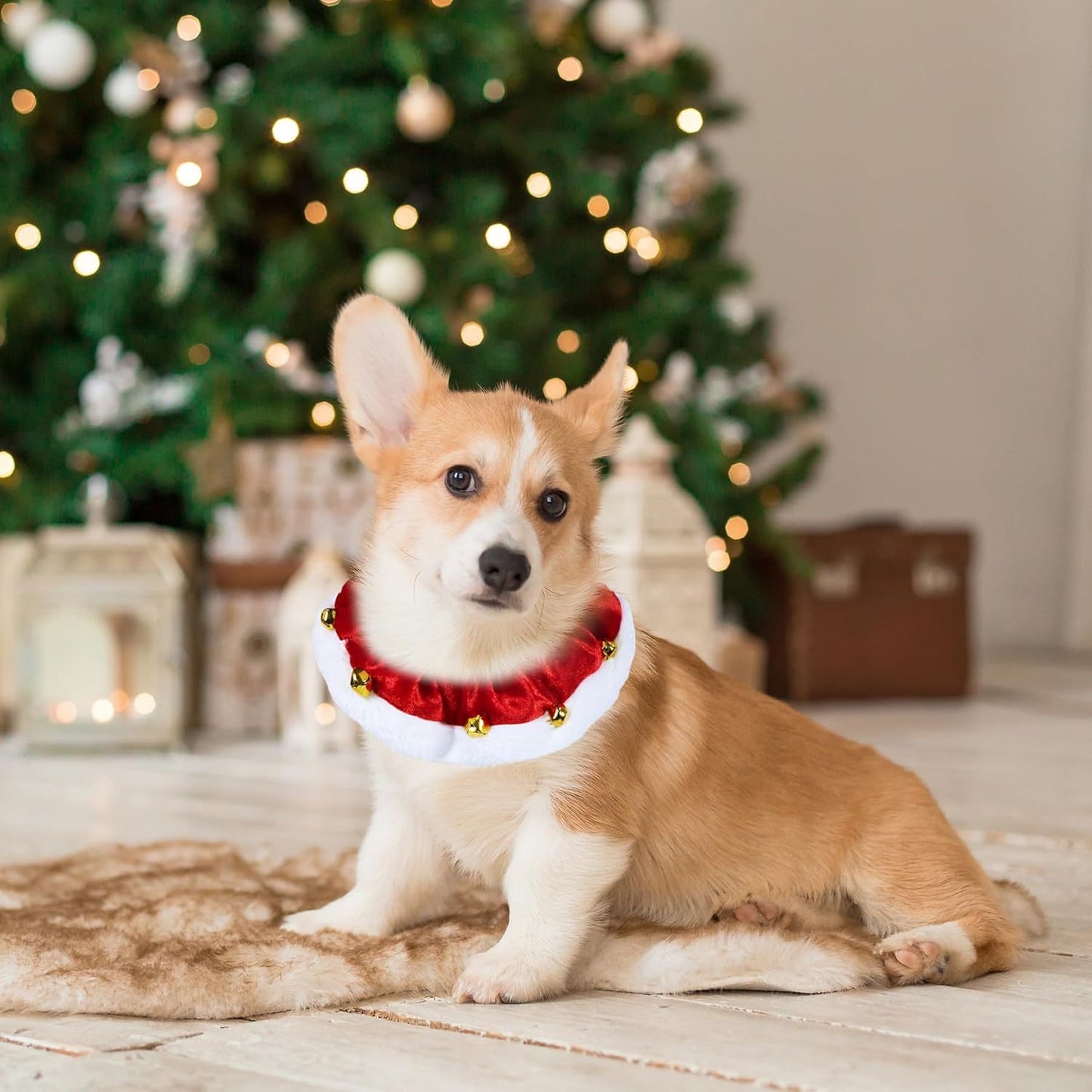 Dog Christmas Outfit Christmas Dog Collar With Bells Ornaments Holiday Christmas Dog Neckwear Costume Clothes For Small Medium Large Dogs Pets