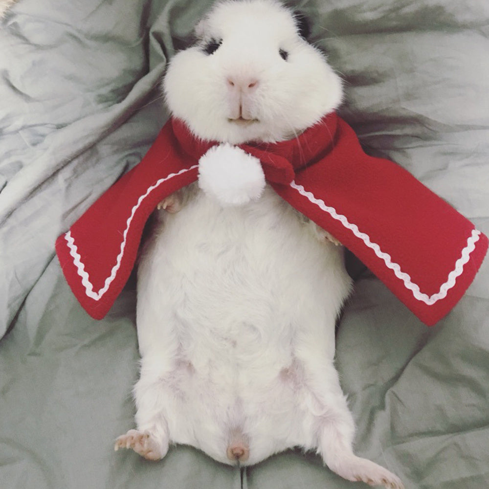 Red Christmas Suit Dog Cat Small Cape