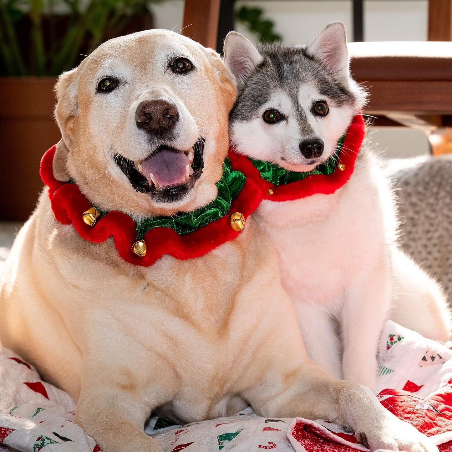 Dog Christmas Outfit Christmas Dog Collar With Bells Ornaments Holiday Christmas Dog Neckwear Costume Clothes For Small Medium Large Dogs Pets