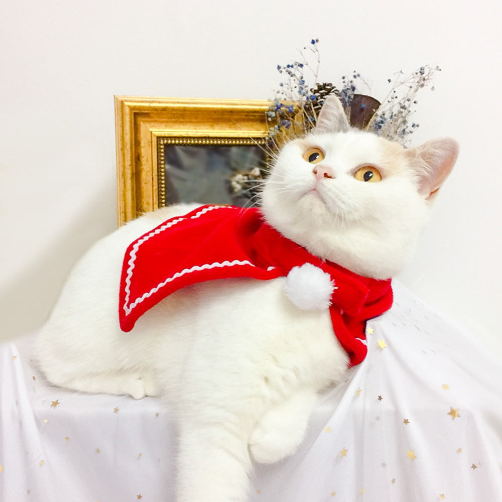 Red Christmas Suit Dog Cat Small Cape